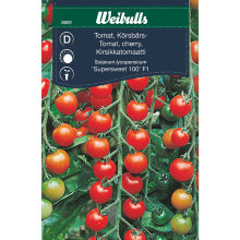 Cherrytomat 'Supersweet 100'